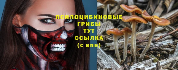 СК Алексеевка