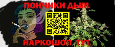 шишки Кохма