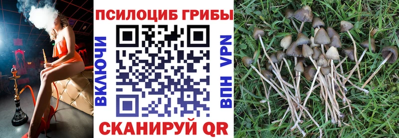 Галлюциногенные грибы Psilocybine cubensis Апрелевка