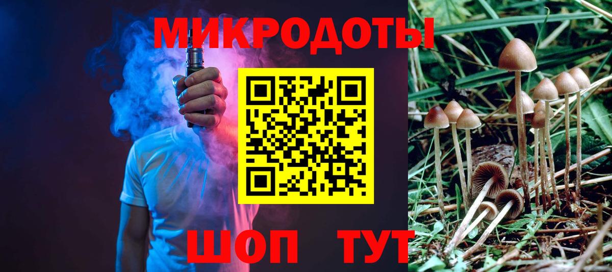 Псилоцибиновые грибы Cubensis Апрелевка