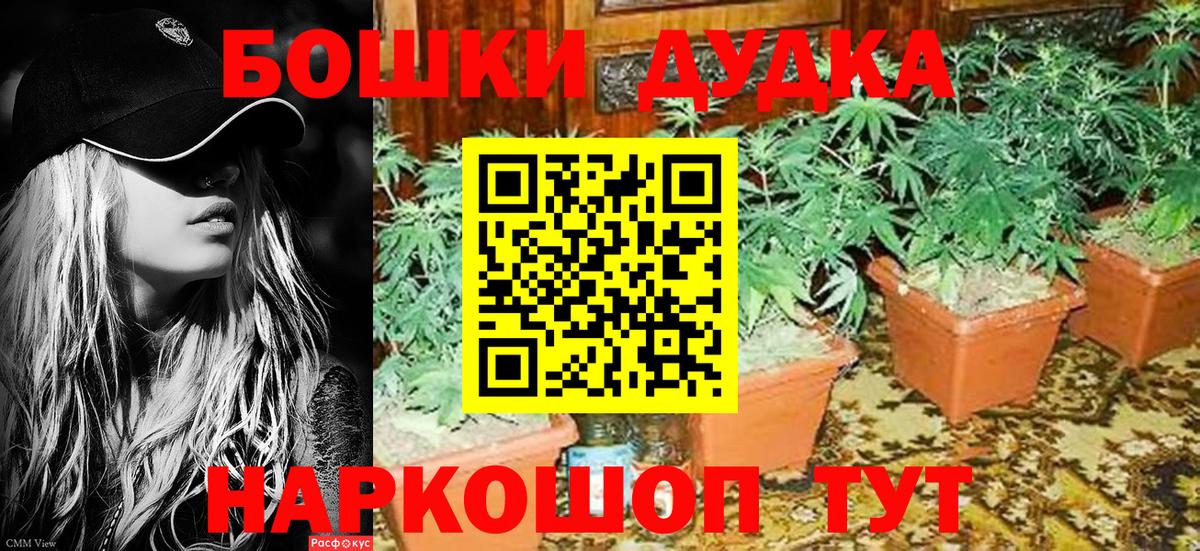 Каннабис Ganja  Конопля Bruce Banner  Вход с VPN  Апрелевка 