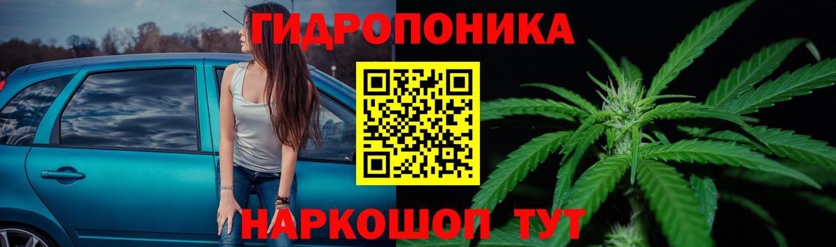 Конопля сатива Апрелевка